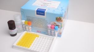 睾酮 ELISA试剂盒