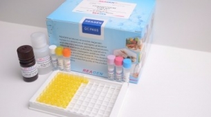 虾肝胰腺细小病毒（HPV）DNA恒温核酸检测试剂盒（不含提取）