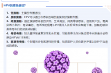 【健康科普】一文带你了解HPV（人乳头瘤病毒）