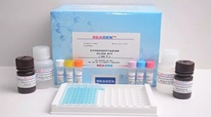 Domoic Acid (ASP) ELISA Test Kit