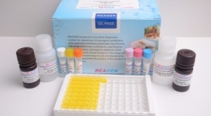 金黄色葡萄球菌恒温核酸检测试剂盒