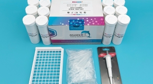 氟喹喏酮（肉类）快速检测试纸条