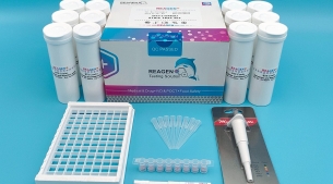 氯霉素免疫胶体金快速检测卡