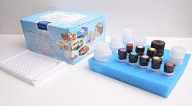Nalidixic Acid ELISA Test Kit